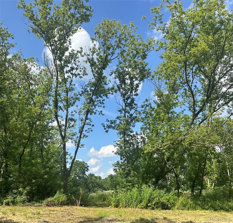 VL Lakeview Park Drive, Fenton, MI 48430 — Photo 2