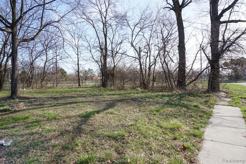 13500 PATTON Street, Detroit, MI 48223 — Photo 4