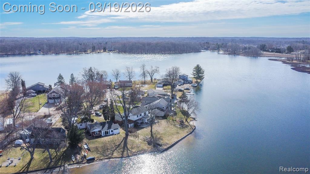1962 Lake Pointe Drive, Ortonville, MI 48462 — Photo 28