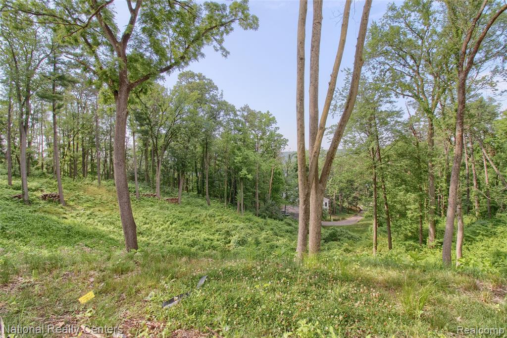 341 Corrie Road, Ann Arbor, MI 48105 — Photo 47