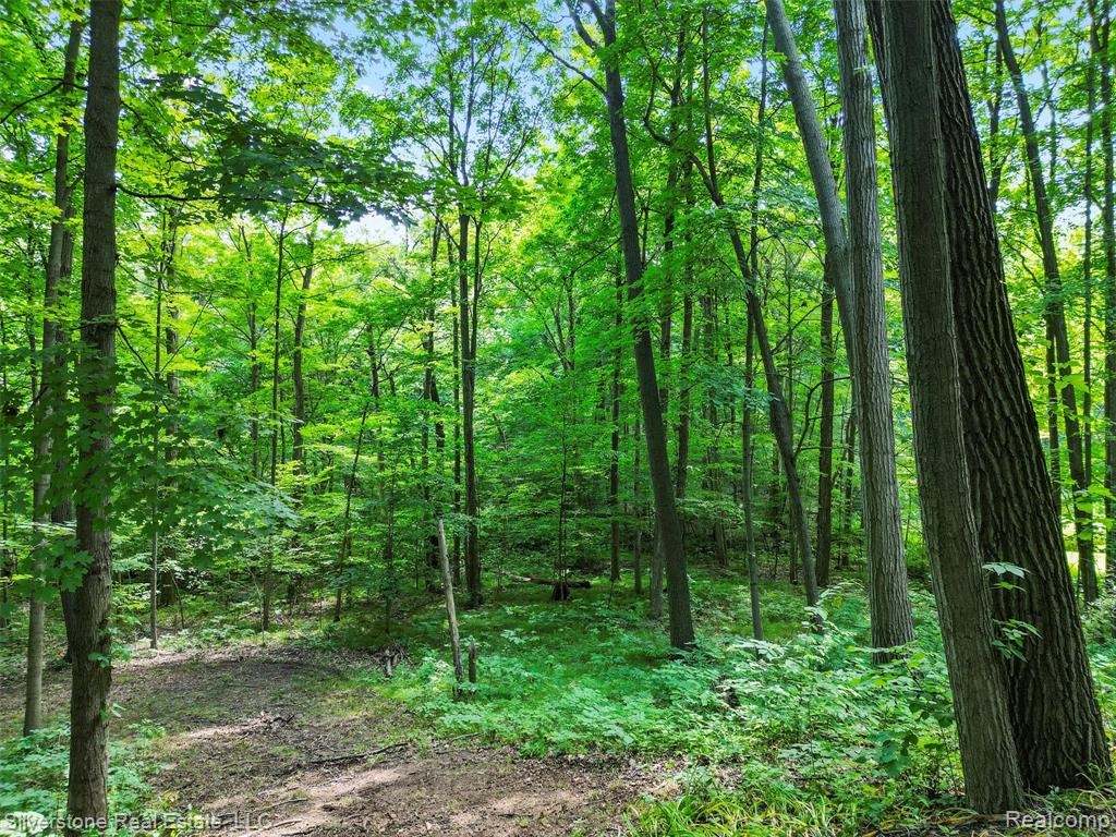 8065 Nathan Oscar Drive, White Lake, MI — Photo 56