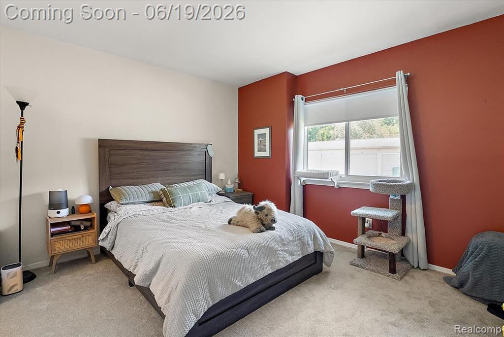399 Spring Brooke Drive, Brighton, MI 48116 — Photo 19