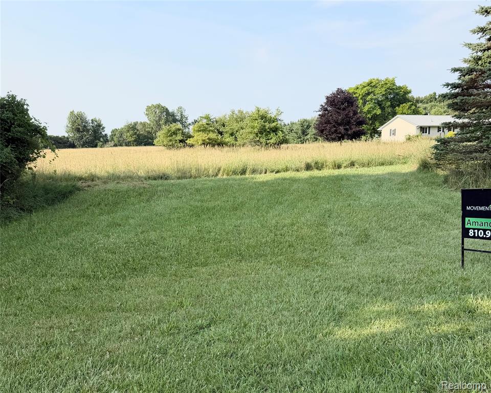 0070102220 Meadow Lane, Dryden, MI 48428 — Photo 3