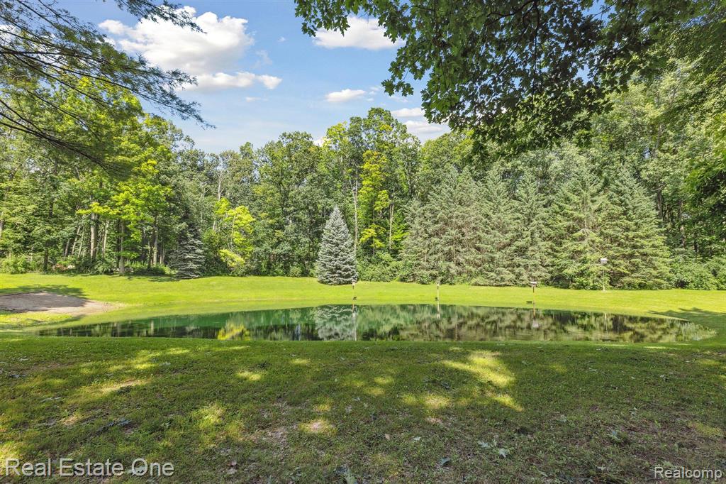 4120 Lum Road, Attica, MI 48412 — Photo 76