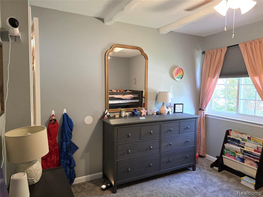 397 University Avenue, South Lyon, MI 48178 — Photo 19