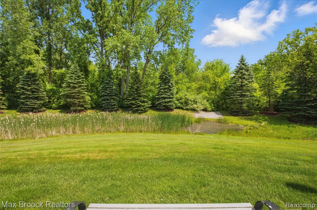 57296 Curtis Street, Washington, MI — Photo 45