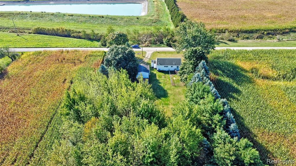 6392 Mitchell Road, Palmyra, MI 49268 — Photo 49