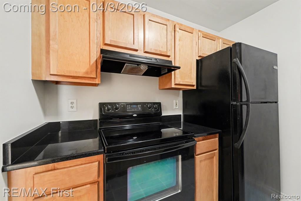 925 Laprairie Street, 117, Ferndale, MI 48220 — Photo 19