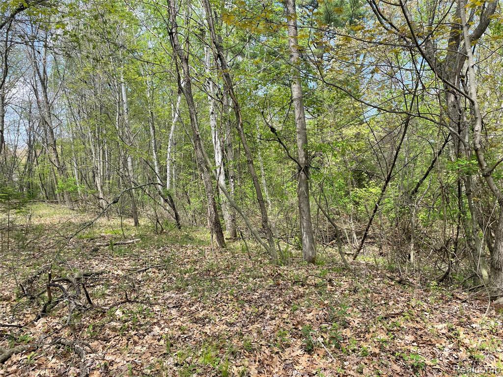 NA Oakridge Drive, Au Gres, MI 48703 — Photo 2