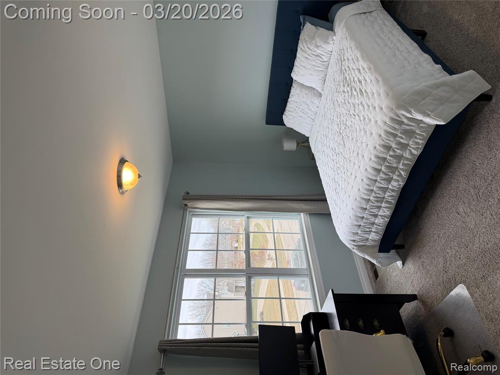 58206 Sunflower Circle N, New Hudson, MI 48165 — Photo 27