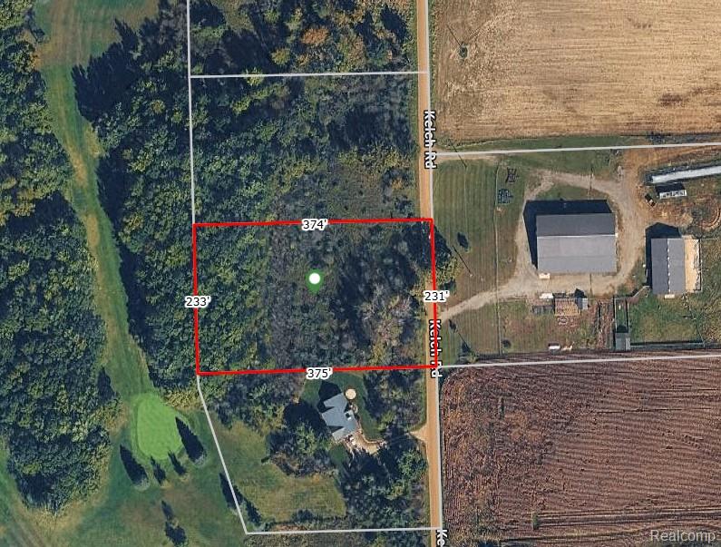 Parcel A Kelch Road, Mayville Vlg, MI 48744