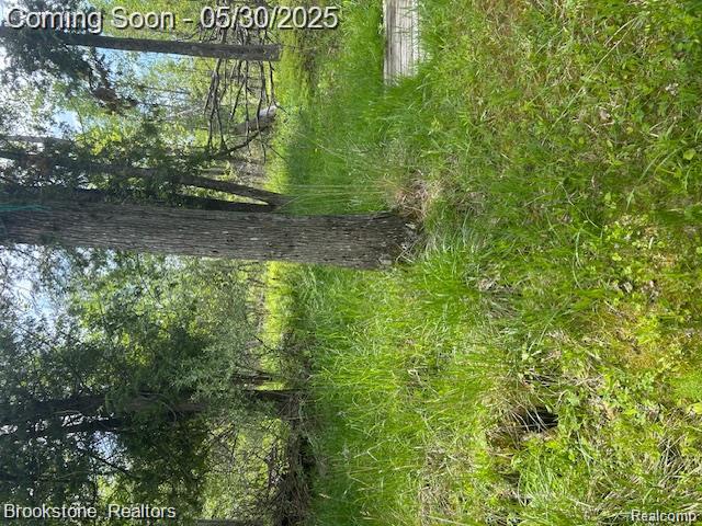 4148 Blue Vista Drive, Evart, MI 49631 — Photo 22