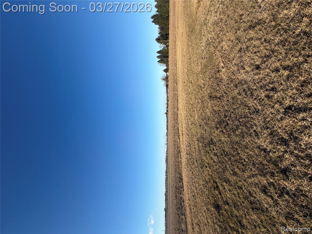 2455 Jacob Road, Caro, MI 48723 — Photo 30
