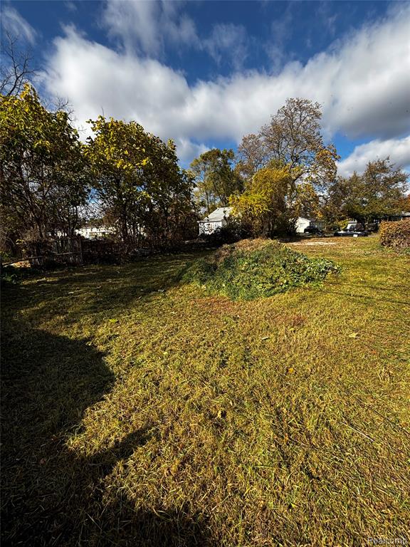 919 Monroe Street, Ypsilanti, MI 48197 — Photo 4