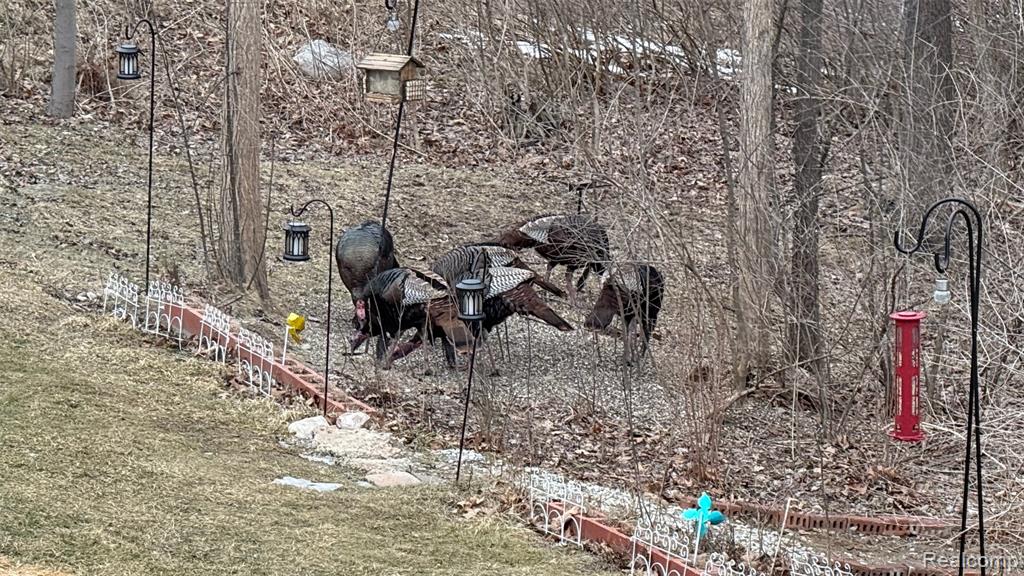 1474 Secretariat Way, Howell, MI 48843 — Photo 39