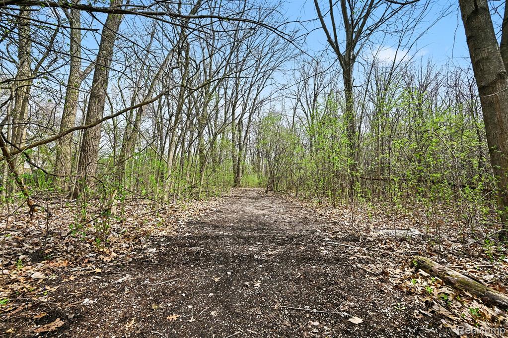42942 Barchester Road, Canton, MI 48187 — Photo 30
