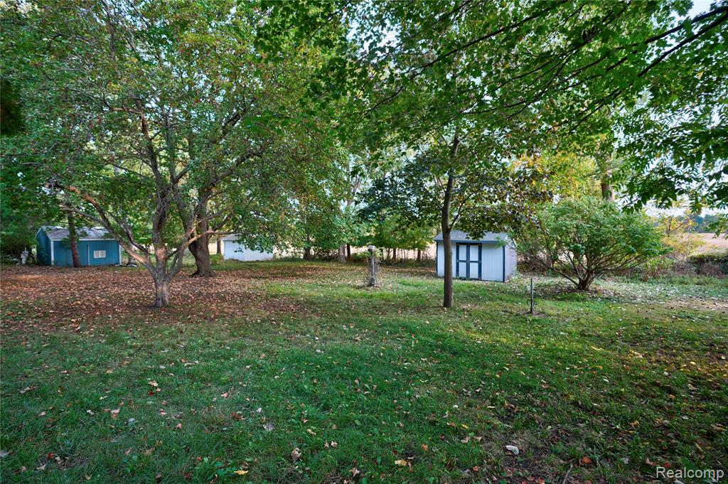 229 W Maple Street, Elsie, MI 48831 — Photo 32