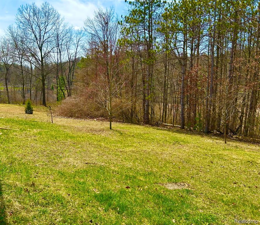 400 WOLFE Road, Ortonville, MI 48462 — Photo 9