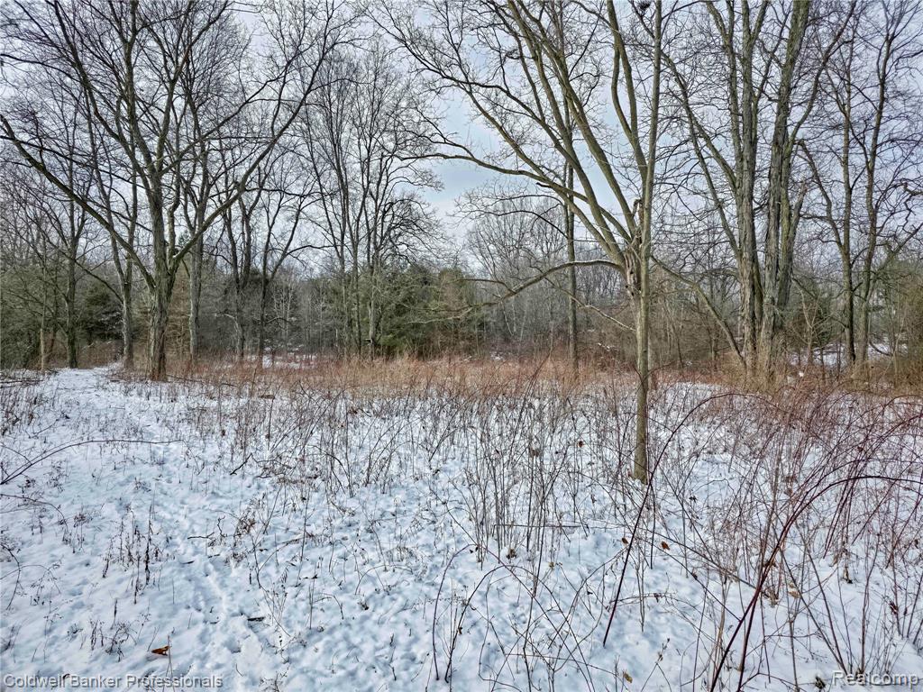 VL Columbiaville Road, Columbiaville, MI 48421 — Photo 20