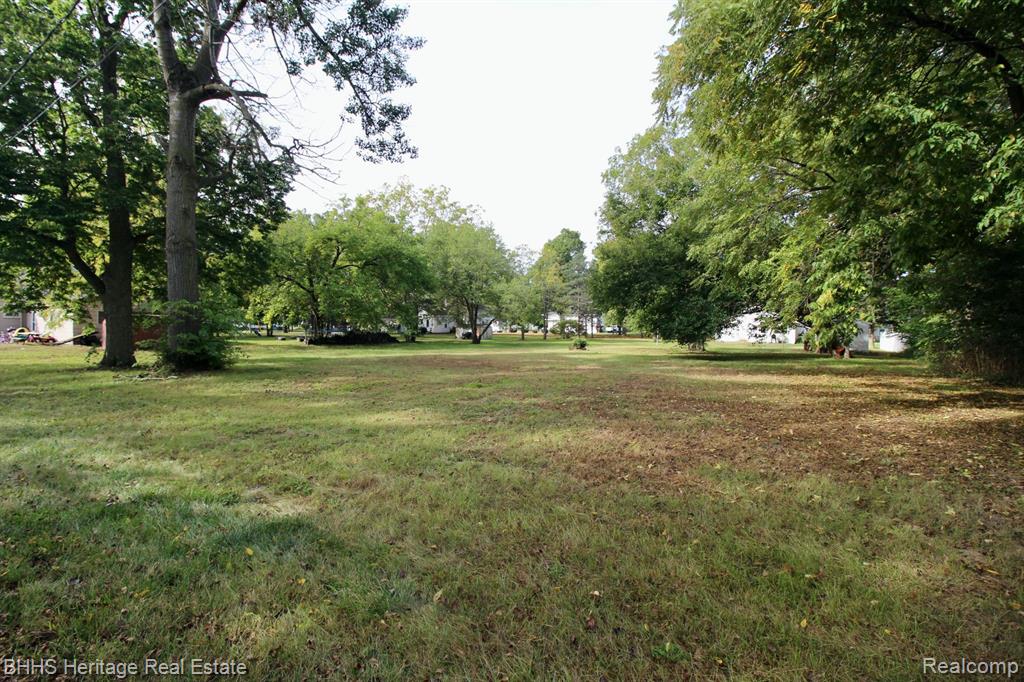 119 ANDRES Street, Chesaning, MI 48616 — Photo 7