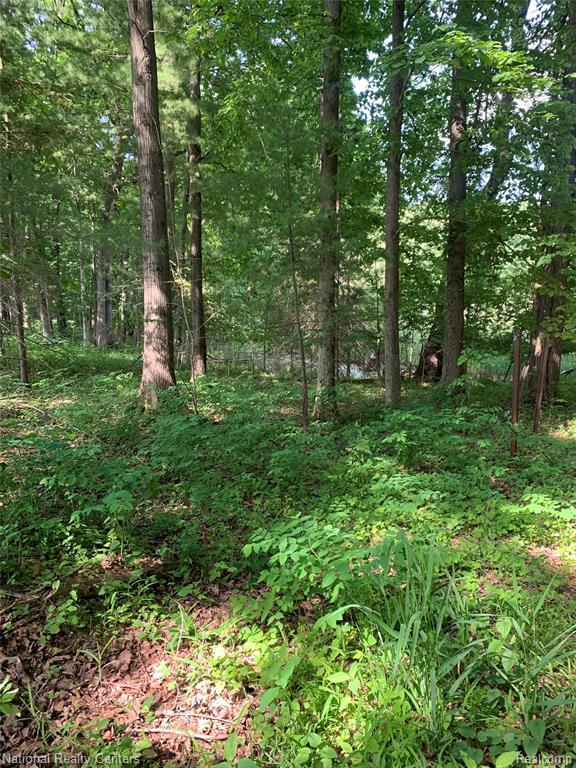 8655 Buckland Drive, South Lyon, MI 48178 — Photo 6