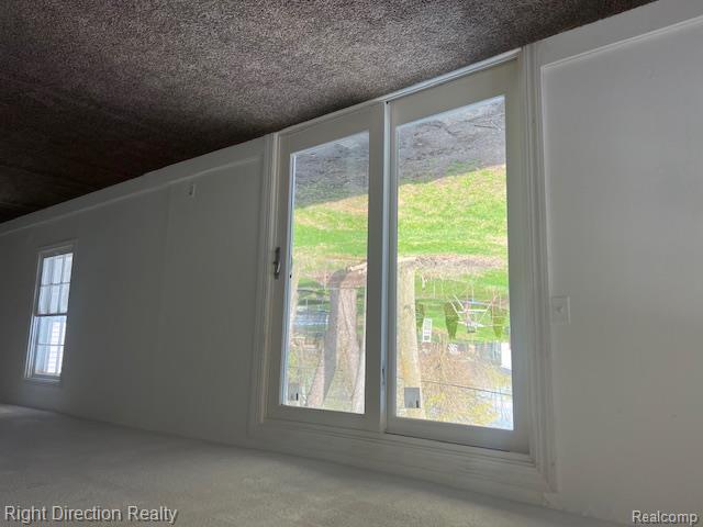 9245 Lee Road, Brighton, MI 48116 — Photo 8
