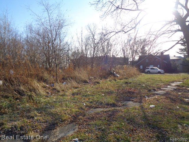 18088 PELKEY Street, Detroit, MI 48205 — Photo 16