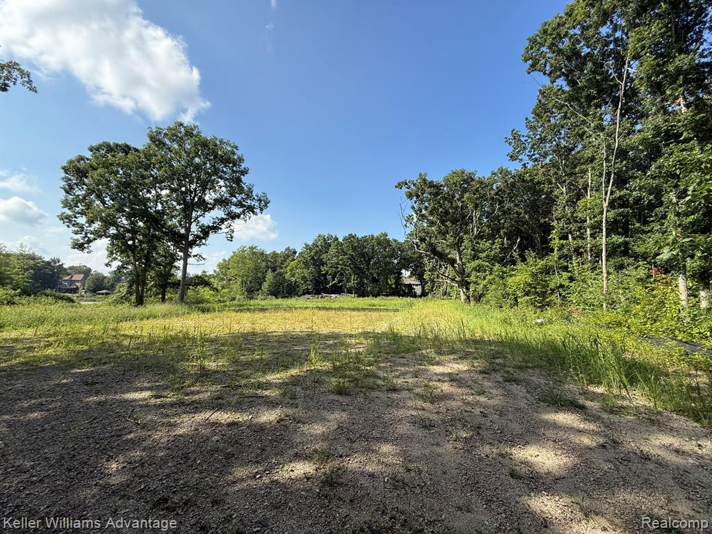 10493 Spring Grove, Brighton, MI 48114 — Photo 29