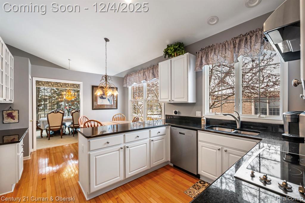 16925 Lochmoor Circle E, Northville, MI 48168 — Photo 23
