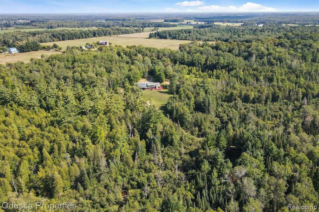 7440 Miller Rd, Whittemore, MI 48770 — Photo 48