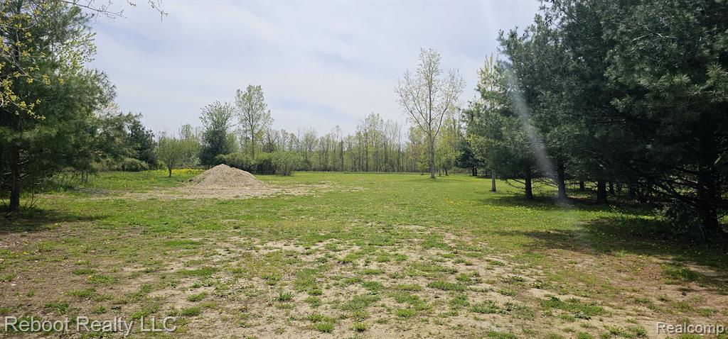 12935 Metcalf Road, Emmett, MI 48022 — Photo 52