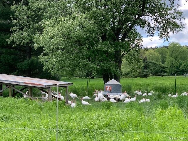 7214 S M 66 Highway, Mancelona, MI 49659 — Photo 10