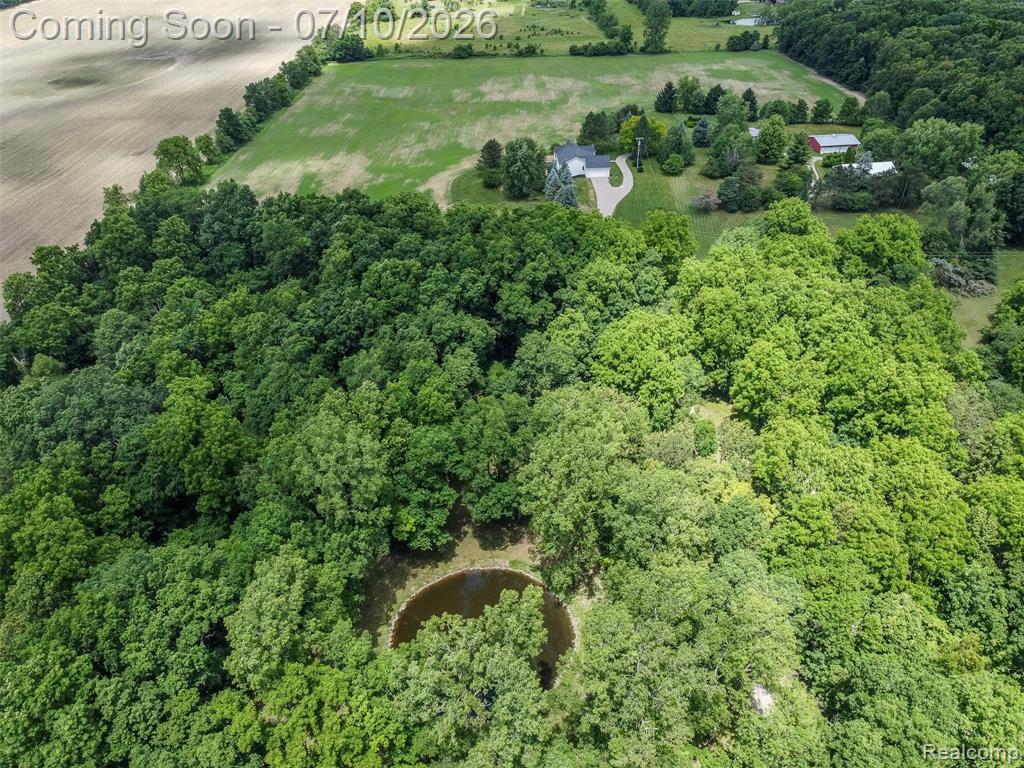 14346 Jerusalem Road, Chelsea, MI 48118 — Photo 3