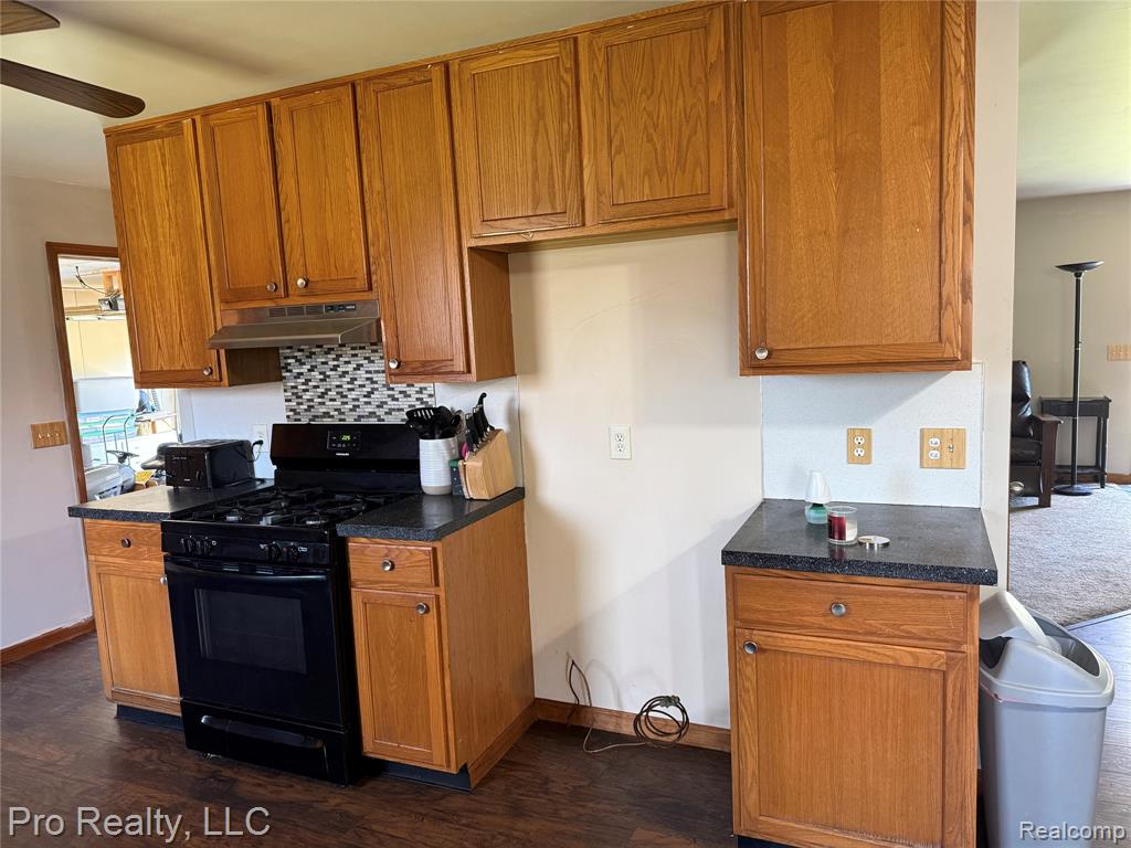 4976 Schott Road NE, Mayville Vlg, MI 48744 — Photo 6
