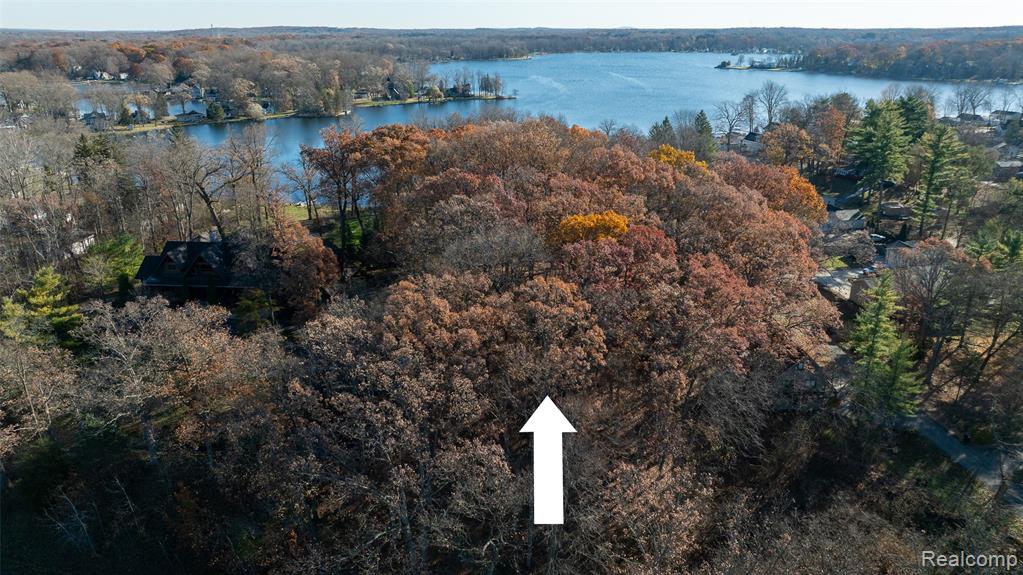 10239 Kress Road, Hamburg, MI 48169 — Photo 5