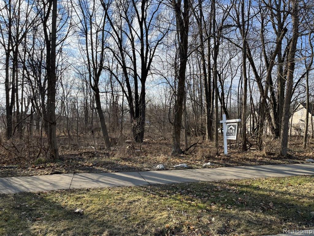 Macomb Macomb Street, Grosse Ile, MI 48138 — Photo 2