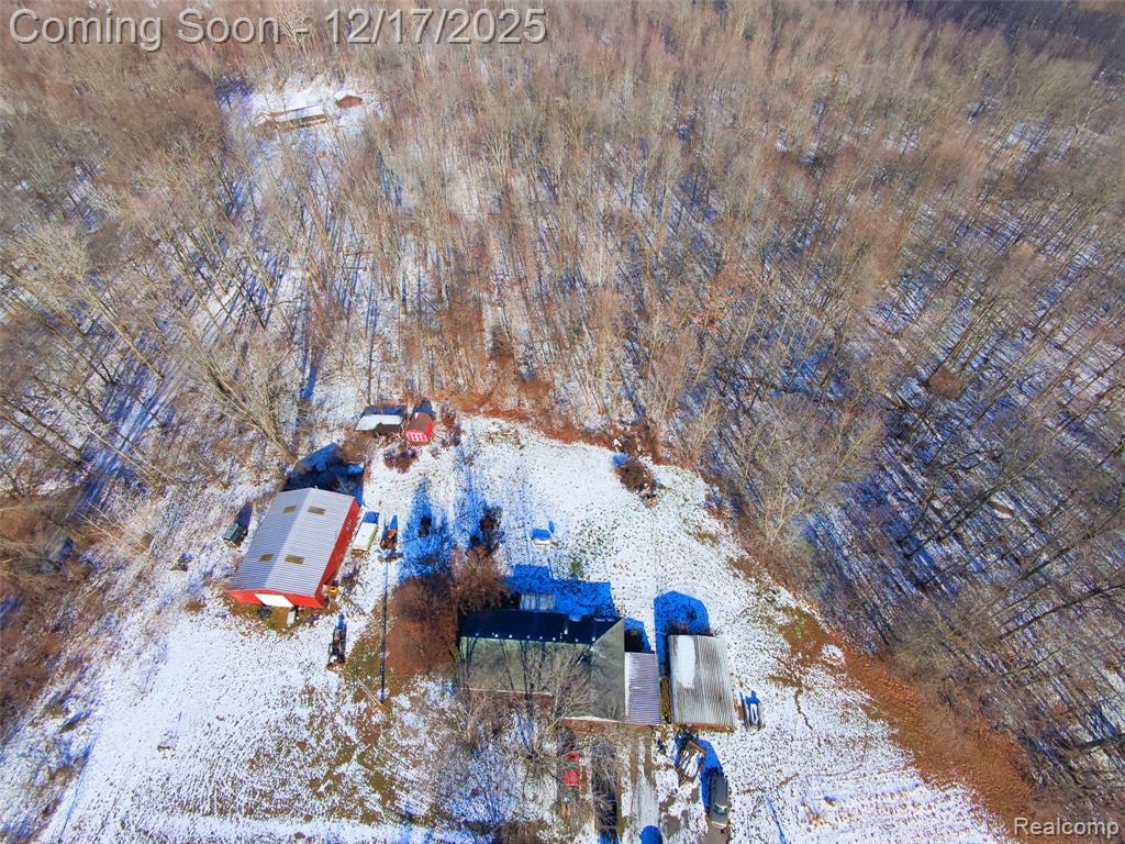 4870 W Samaria Road, Temperance, MI 48182 — Photo 5
