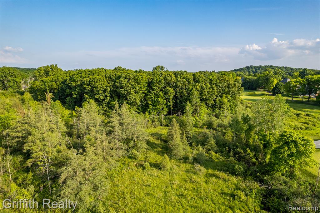 4433 Brighton Parcel C Road, Howell, MI 48843 — Photo 6