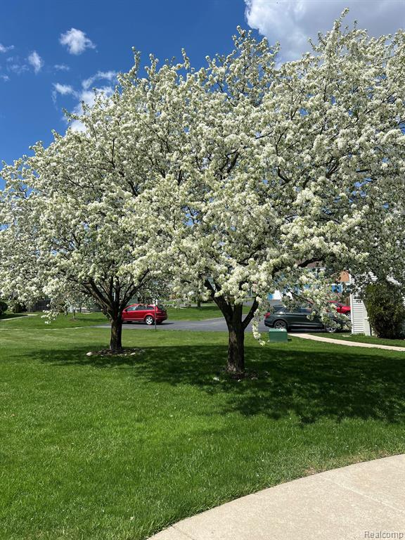 23619 STONEHENGE Boulevard, Novi, MI — Photo 23
