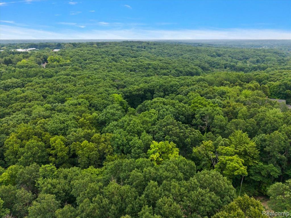 4219 Gardner Road, Metamora, MI 48455 — Photo 84
