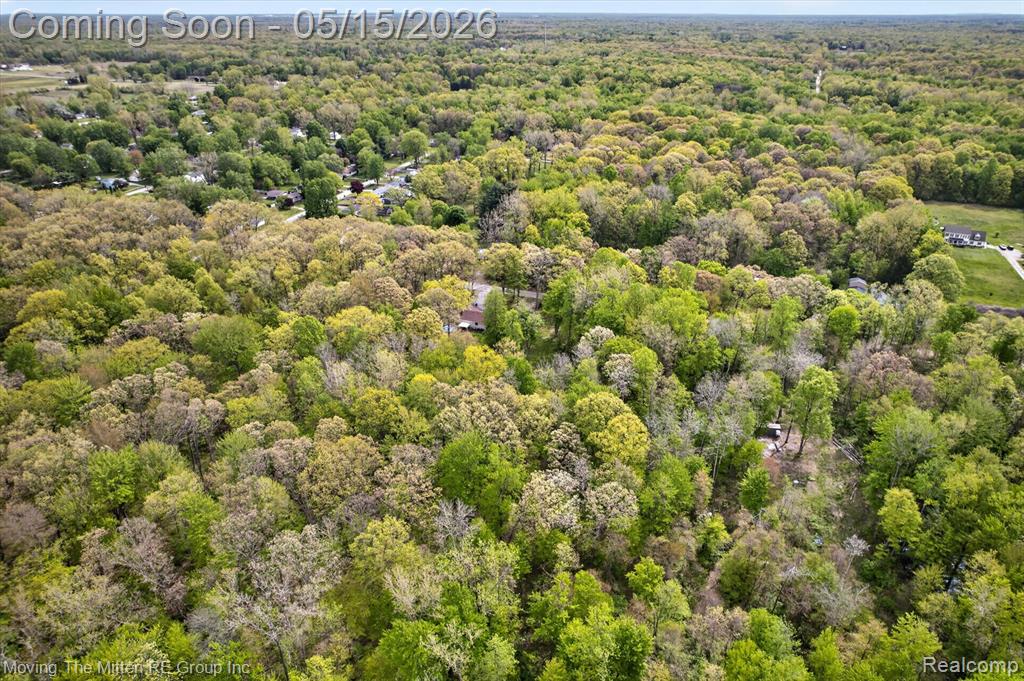 22530 Bohn Road, Belleville, MI 48111 — Photo 14