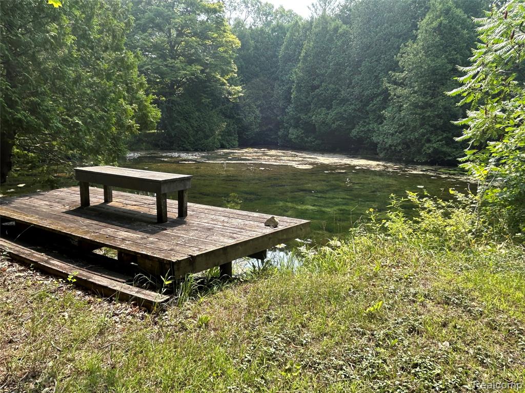 3425 Sutton Road, Dryden, MI 48428 — Photo 31