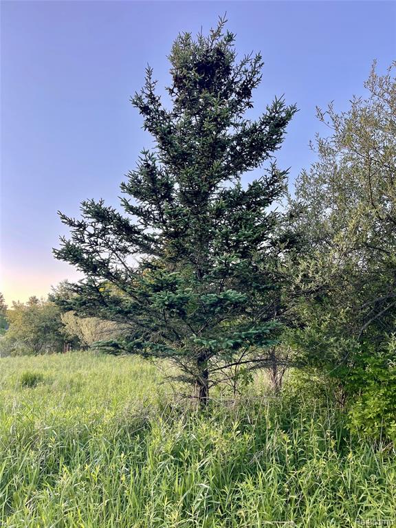0 Hayden Road, Attica, MI 48412 — Photo 3
