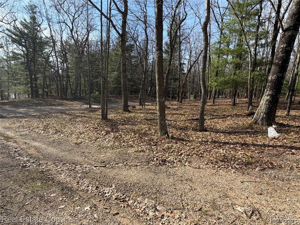 4701 Lake Road, Farwell, MI 48622 — Photo 4