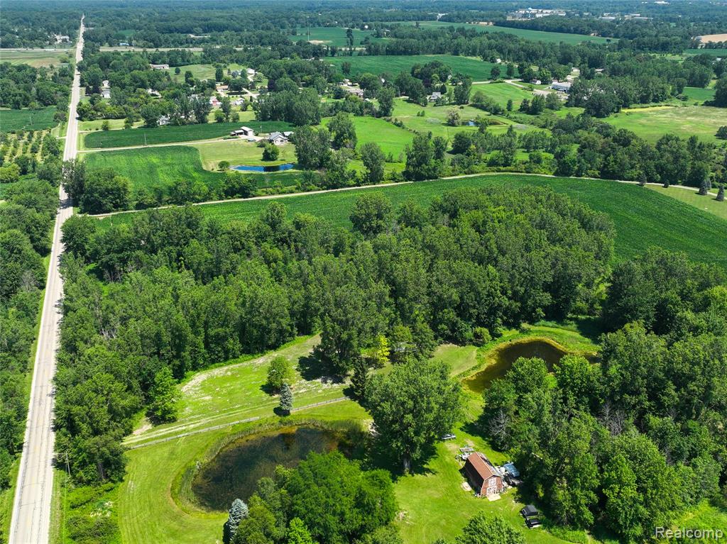 Vacant Land Nicholson Rd, Handy, MI 48836 — Photo 10