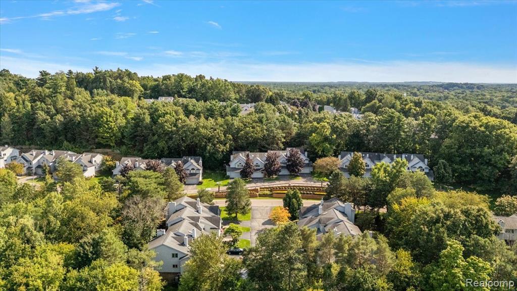 6583 RIDGEVIEW Drive, Clarkston, MI — Photo 61