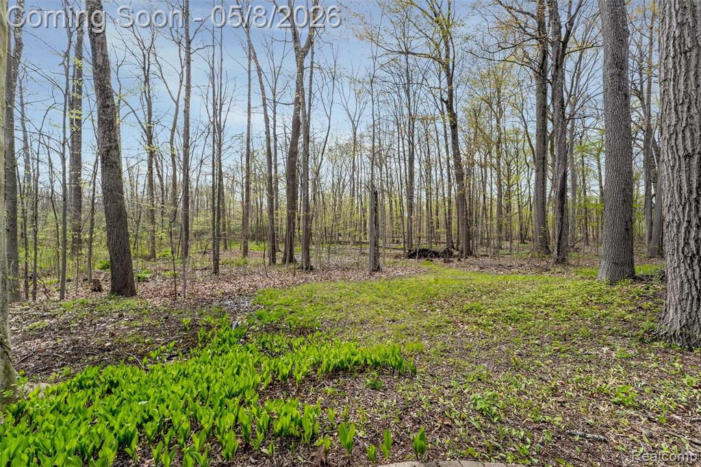 56377 Copperfield Drive, Shelby Twp, MI 48316 — Photo 56