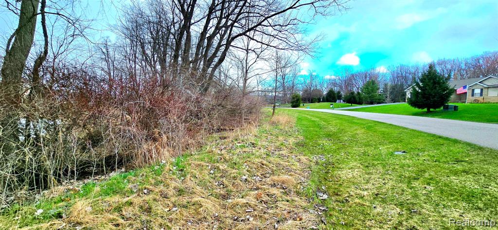 9910 Iosco Ridge Drive, Gregory, MI 48137 — Photo 4