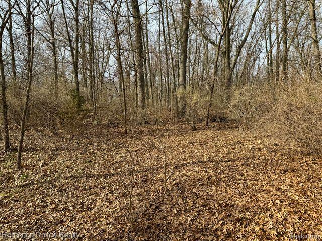 Vacant Land #9 CLIMBING Way, Pinckney, MI 48169 — Photo 5