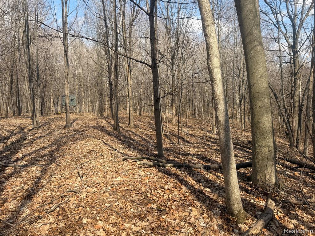 V/L Fulton, Mayville Vlg, MI 48744 — Photo 31